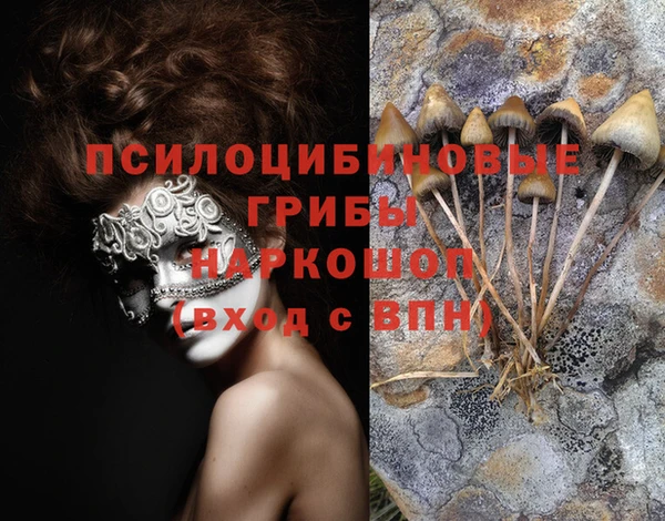 ПСИЛОЦИБИНОВЫЕ ГРИБЫ Арсеньев