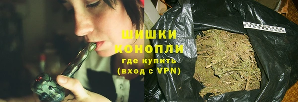 ПСИЛОЦИБИНОВЫЕ ГРИБЫ Арсеньев