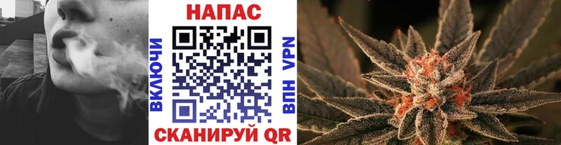 ссылка на мегу маркетплейс что такое наркотик Саров Бошки марихуана White Widow